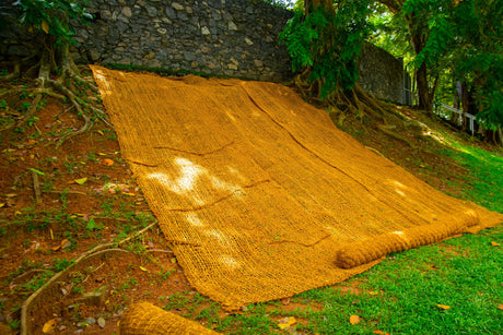 What Is Coir Mesh and Why It Matters for Erosion Control?