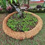 Coco Garden Edging - 3m x 200mm image 2