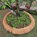 Coco Garden Edging - 3m x 200mm image 5