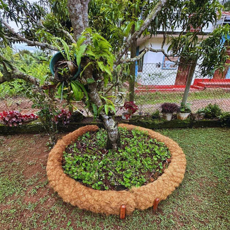 Coir Logs used for garden Edging