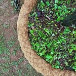 Coco Garden Edging - 3m x 200mm image 6