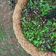 Coco Garden Edging - 3m x 200mm image 6