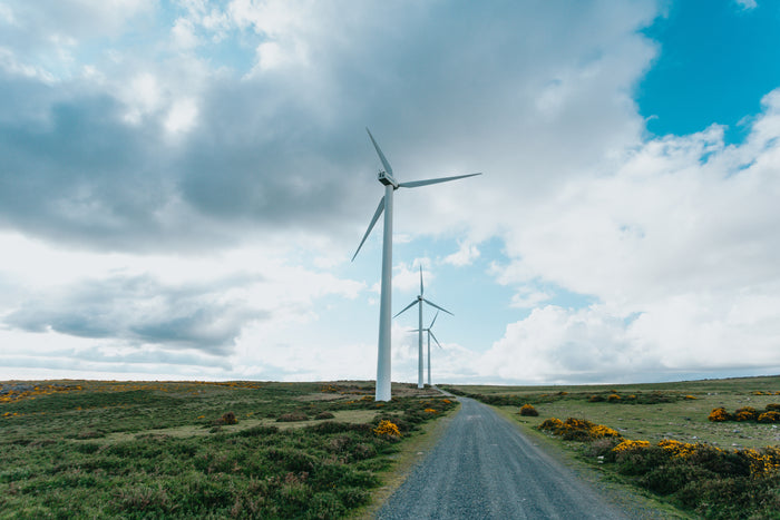 country-road-with-tall-windmills-on-the-left