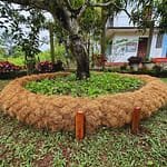 Coco Garden Edging - 3m x 200mm image 3