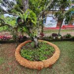 Circle Coco Raised Garden Bed