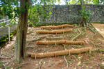 Coir logs on slope